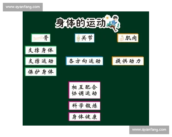基于体育科学实验的运动表现优化与训练策略研究
