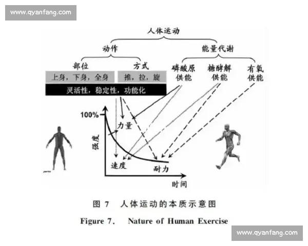 基于体育科学实践的运动训练效果与体能提升研究